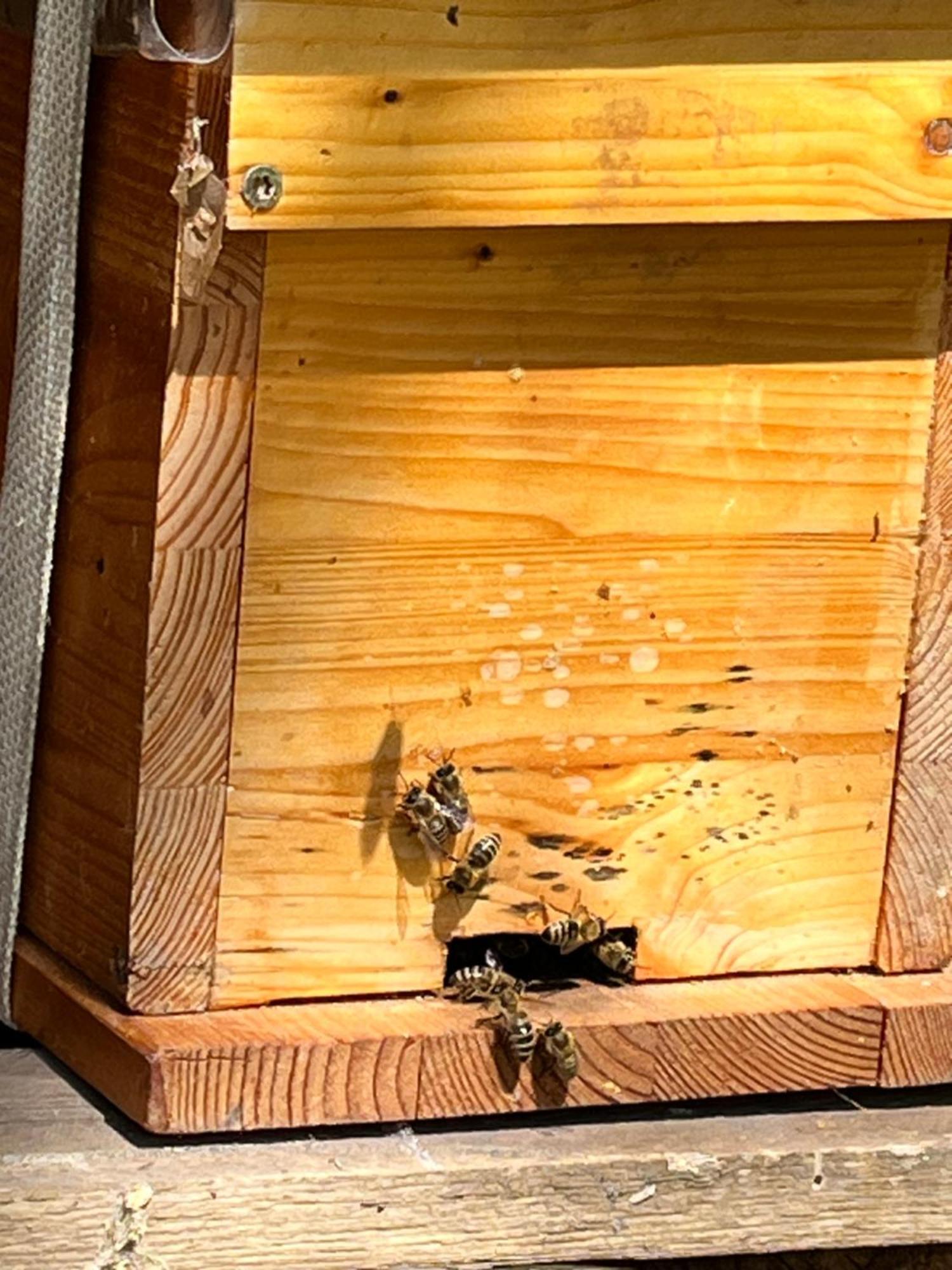 Hotel Wald Ist Zukunft à Bernbeuren Extérieur photo