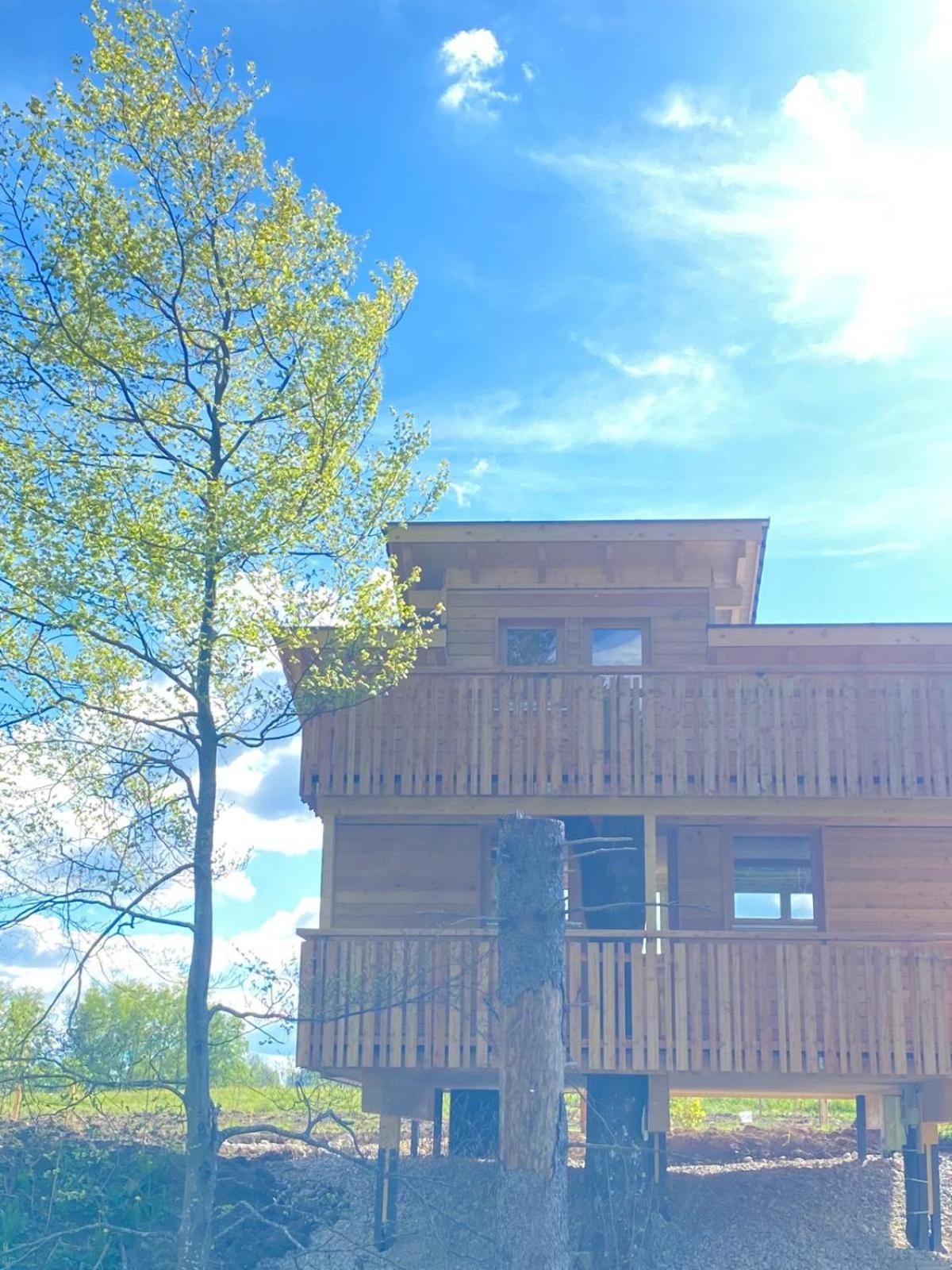 Hotel Wald Ist Zukunft à Bernbeuren Extérieur photo