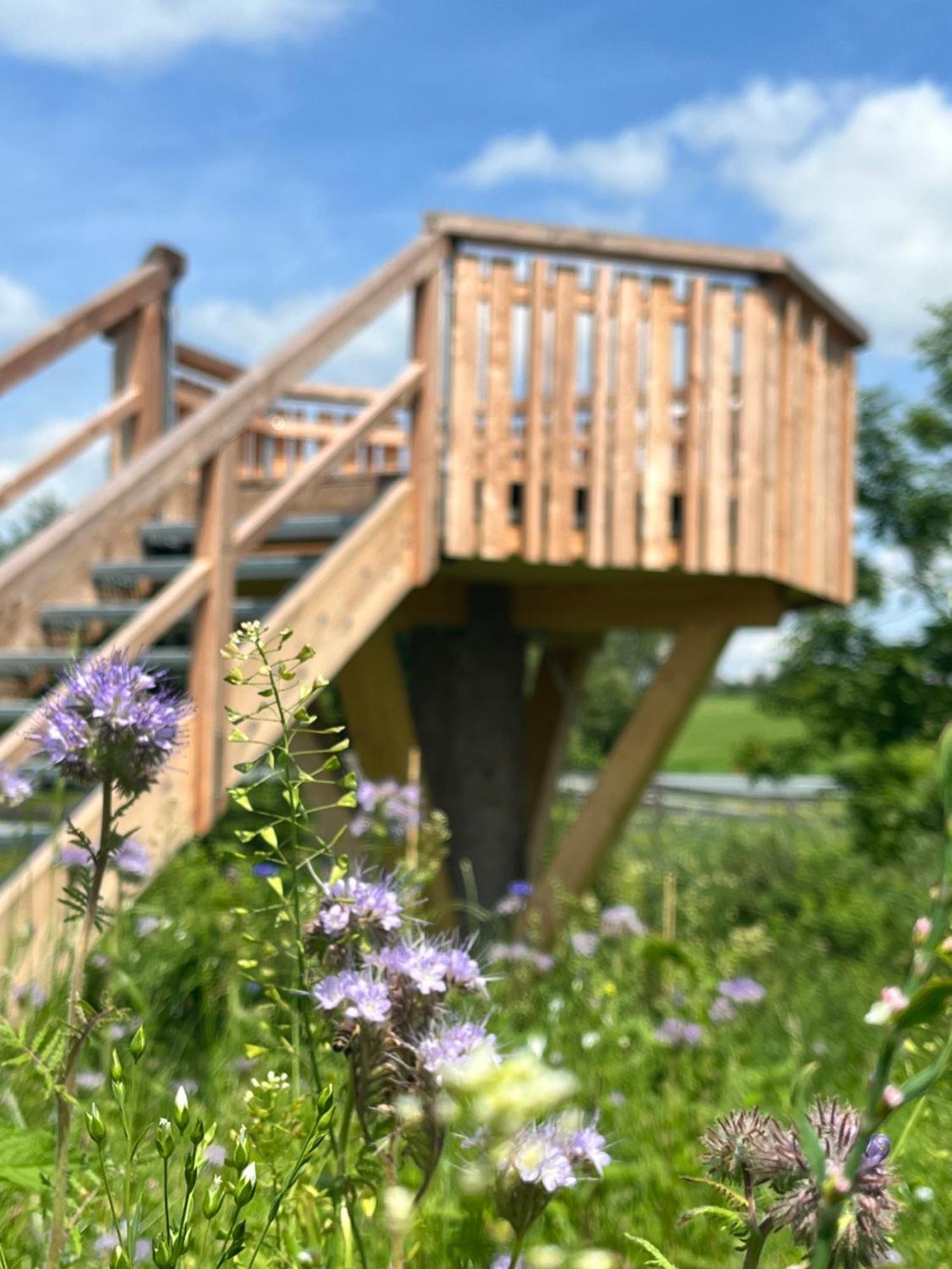Hotel Wald Ist Zukunft à Bernbeuren Extérieur photo