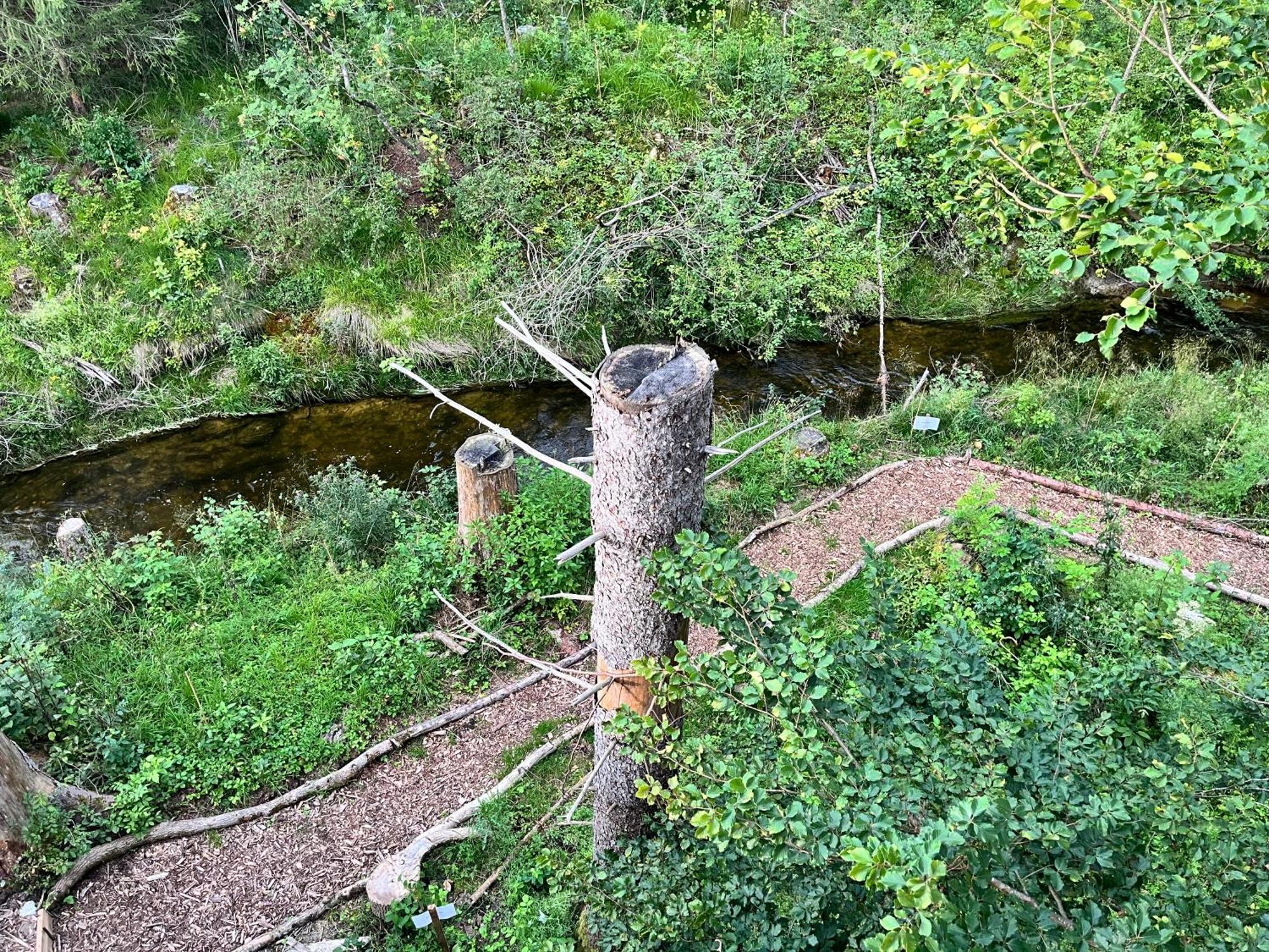 Hotel Wald Ist Zukunft à Bernbeuren Extérieur photo