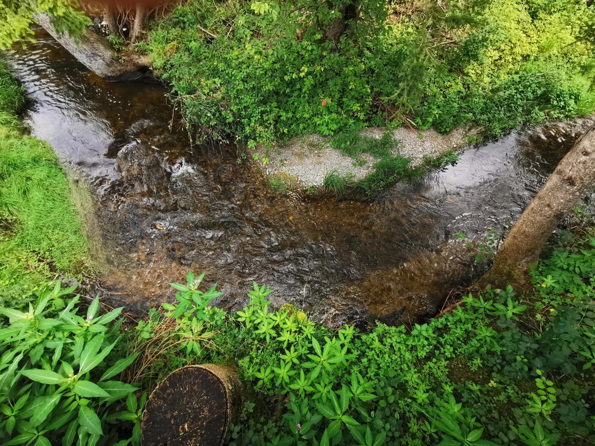 Hotel Wald Ist Zukunft à Bernbeuren Extérieur photo