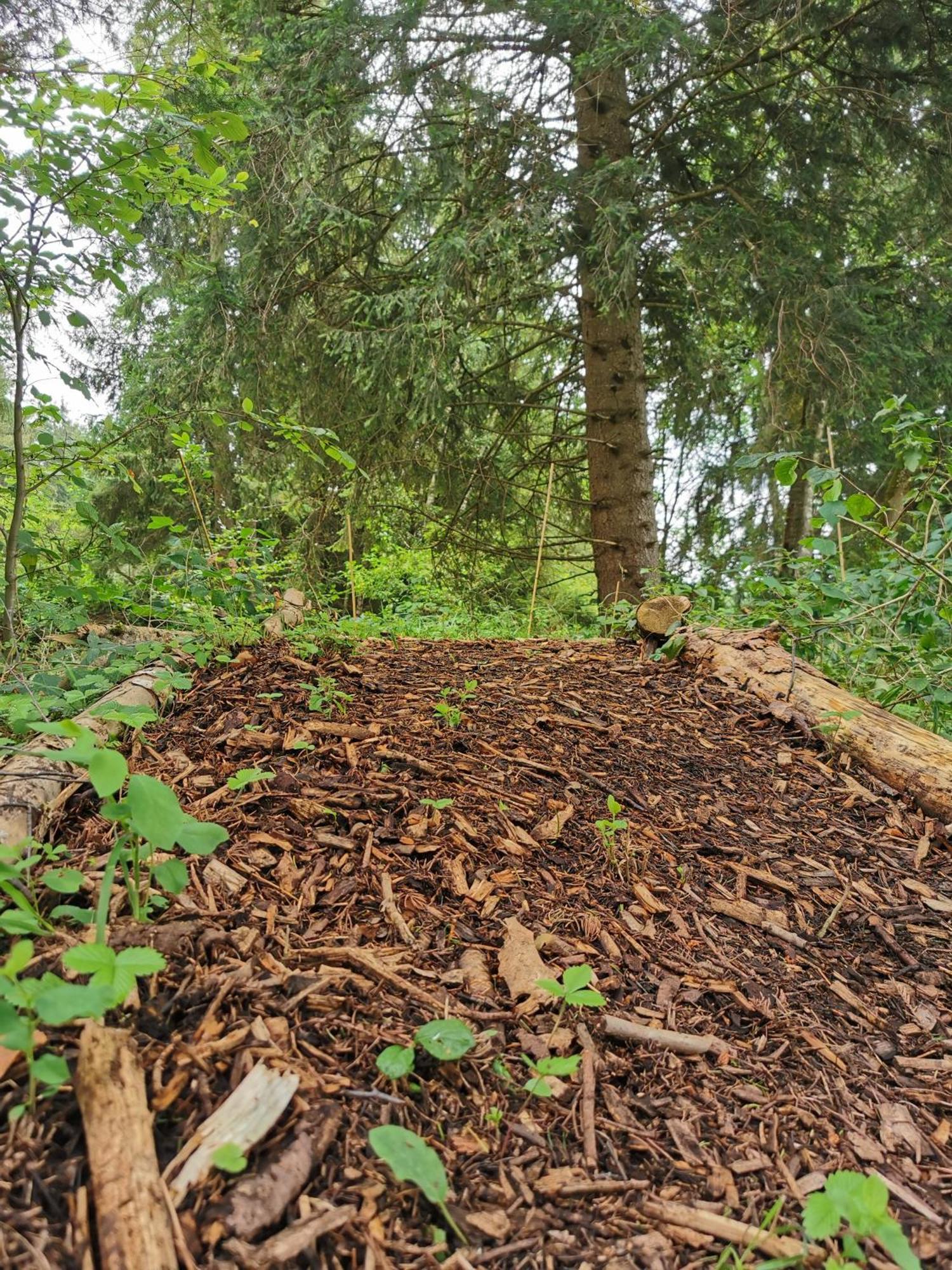 Hotel Wald Ist Zukunft à Bernbeuren Extérieur photo