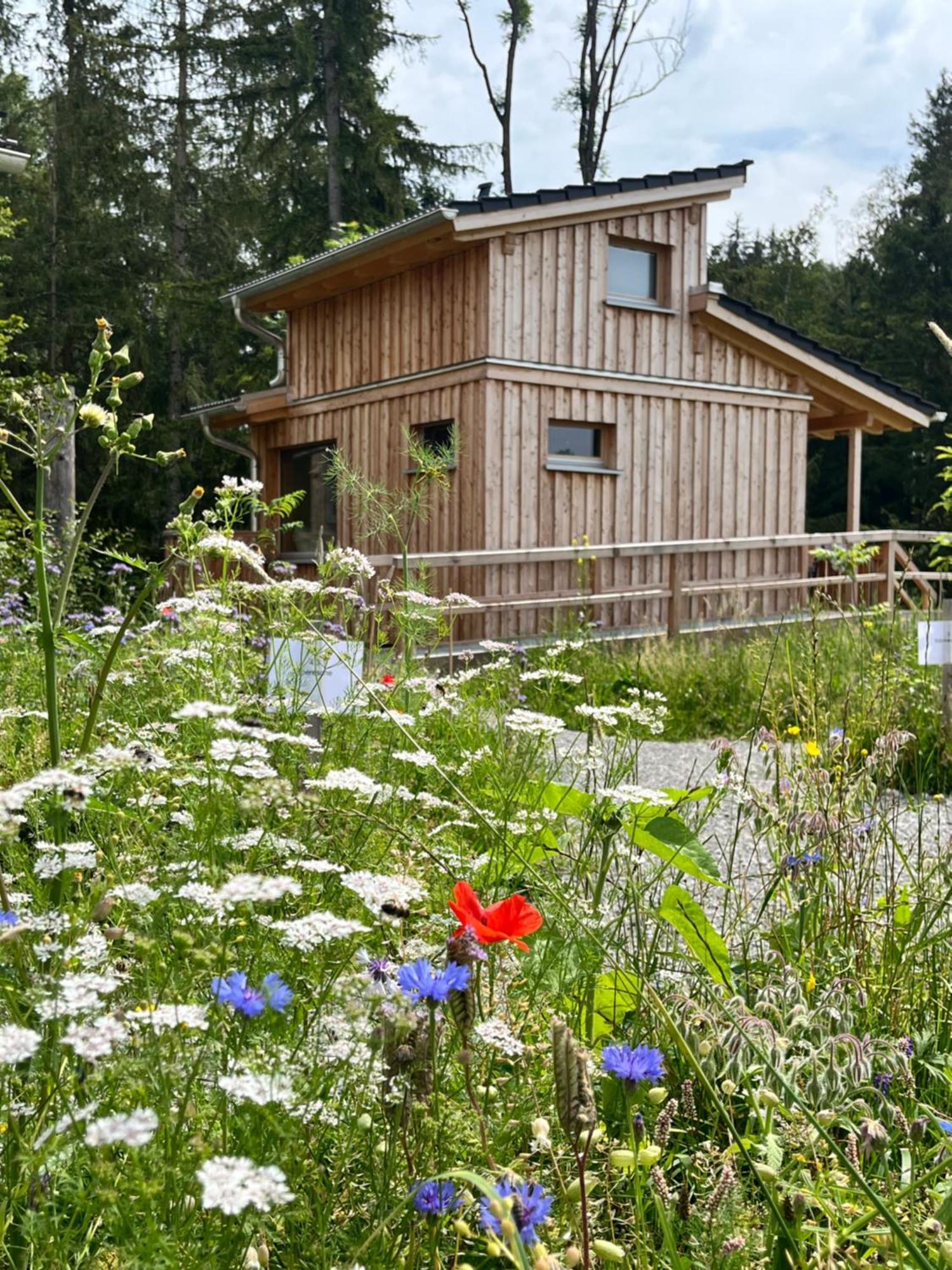 Hotel Wald Ist Zukunft à Bernbeuren Extérieur photo