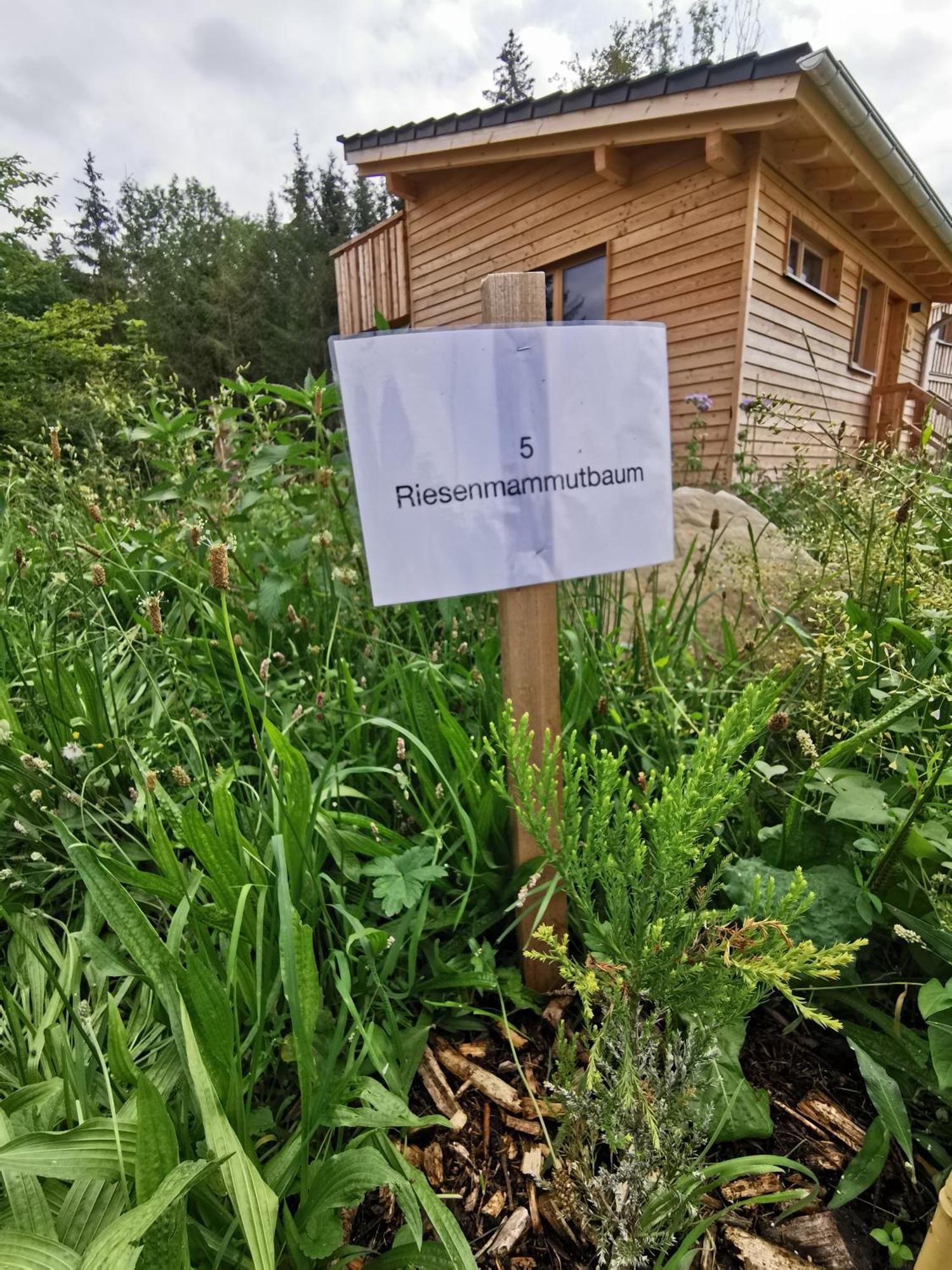 Hotel Wald Ist Zukunft à Bernbeuren Extérieur photo