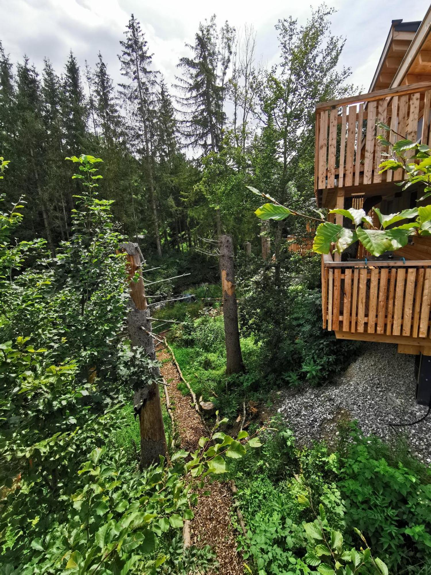Hotel Wald Ist Zukunft à Bernbeuren Extérieur photo