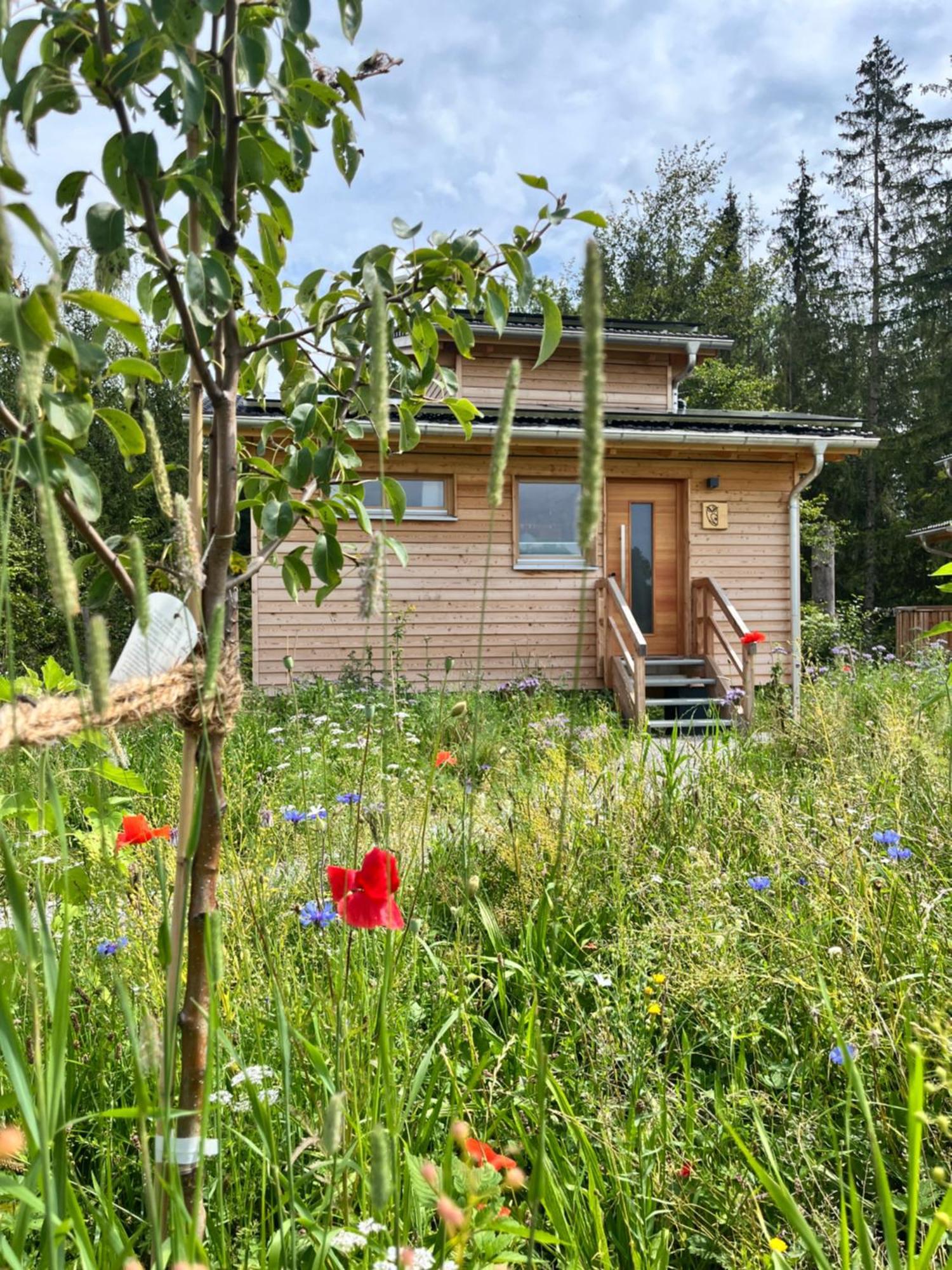 Hotel Wald Ist Zukunft à Bernbeuren Extérieur photo