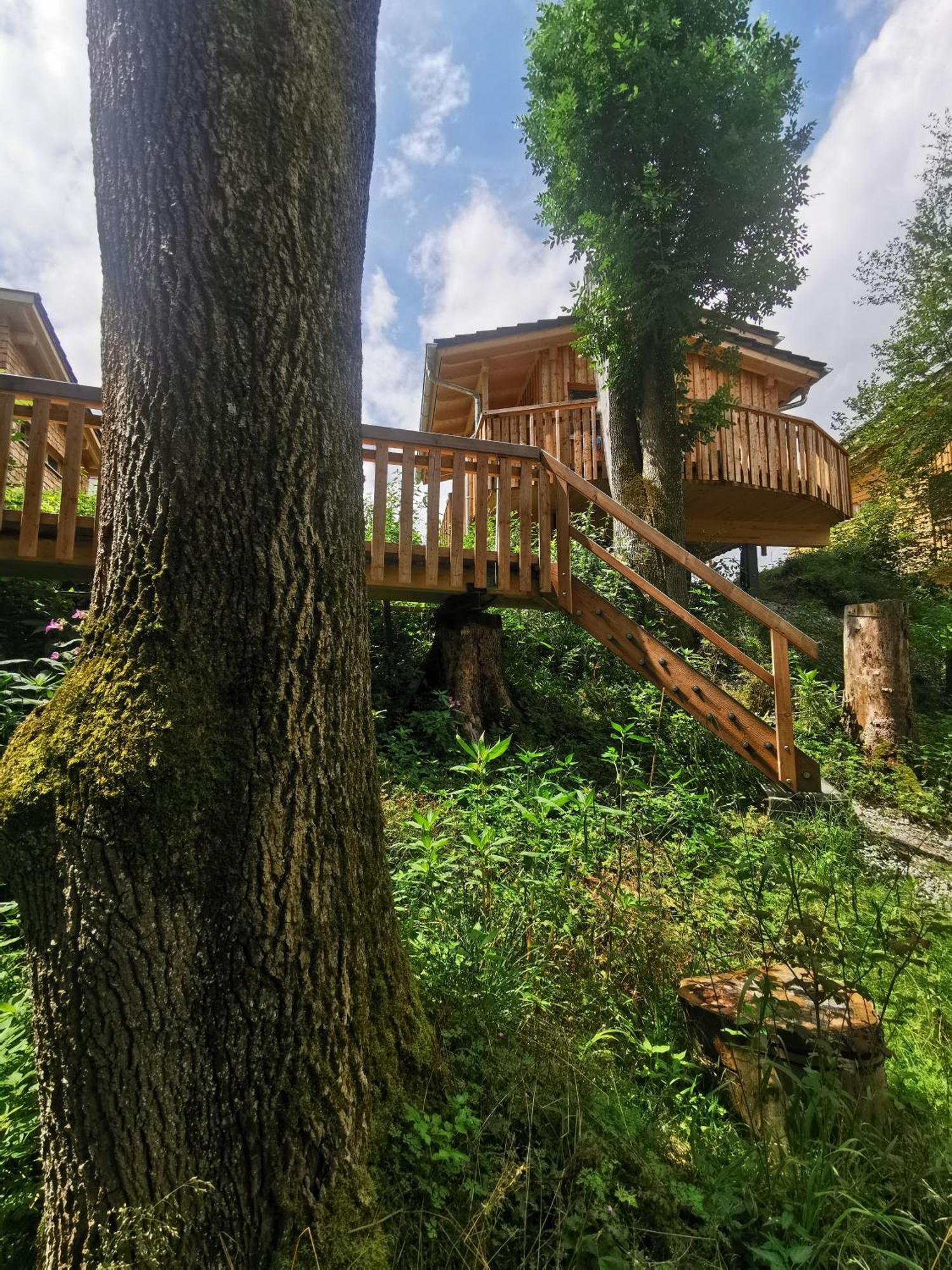 Hotel Wald Ist Zukunft à Bernbeuren Extérieur photo