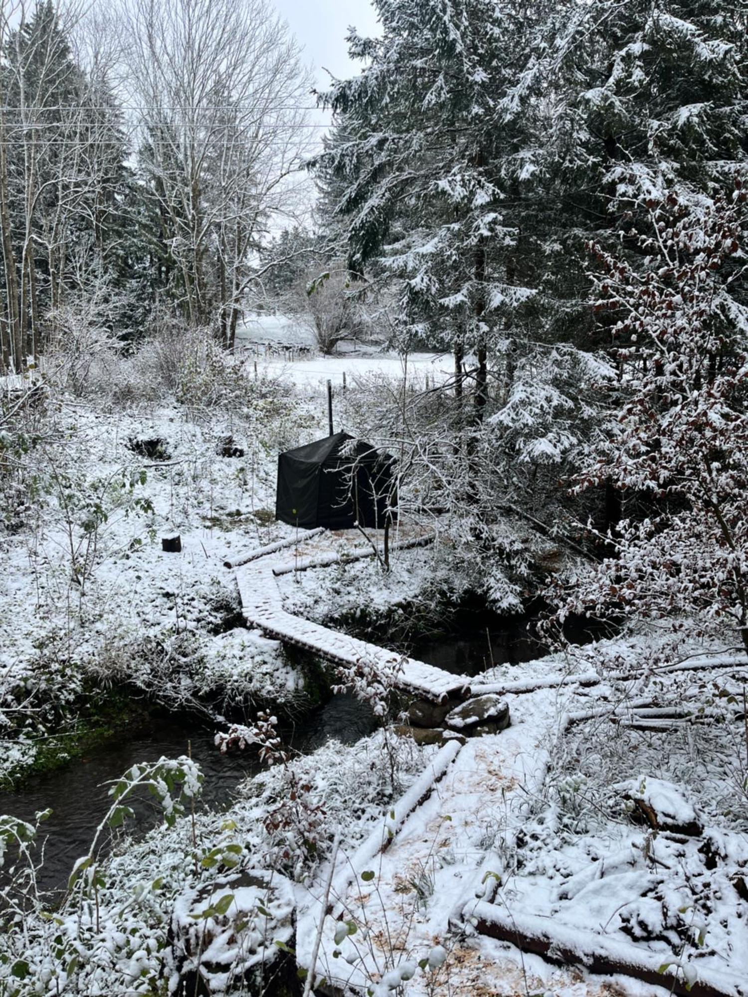 Hotel Wald Ist Zukunft à Bernbeuren Extérieur photo