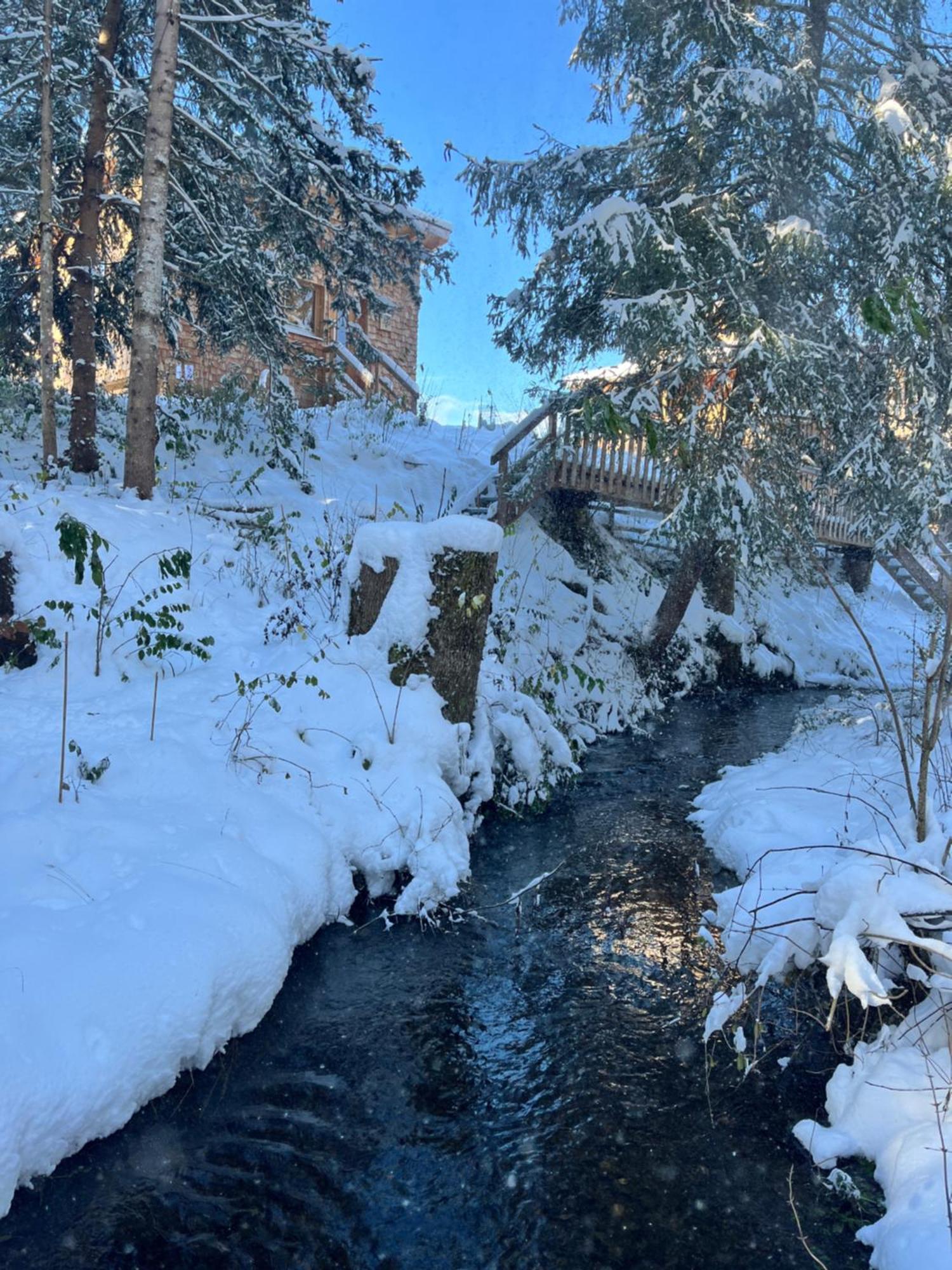 Hotel Wald Ist Zukunft à Bernbeuren Extérieur photo