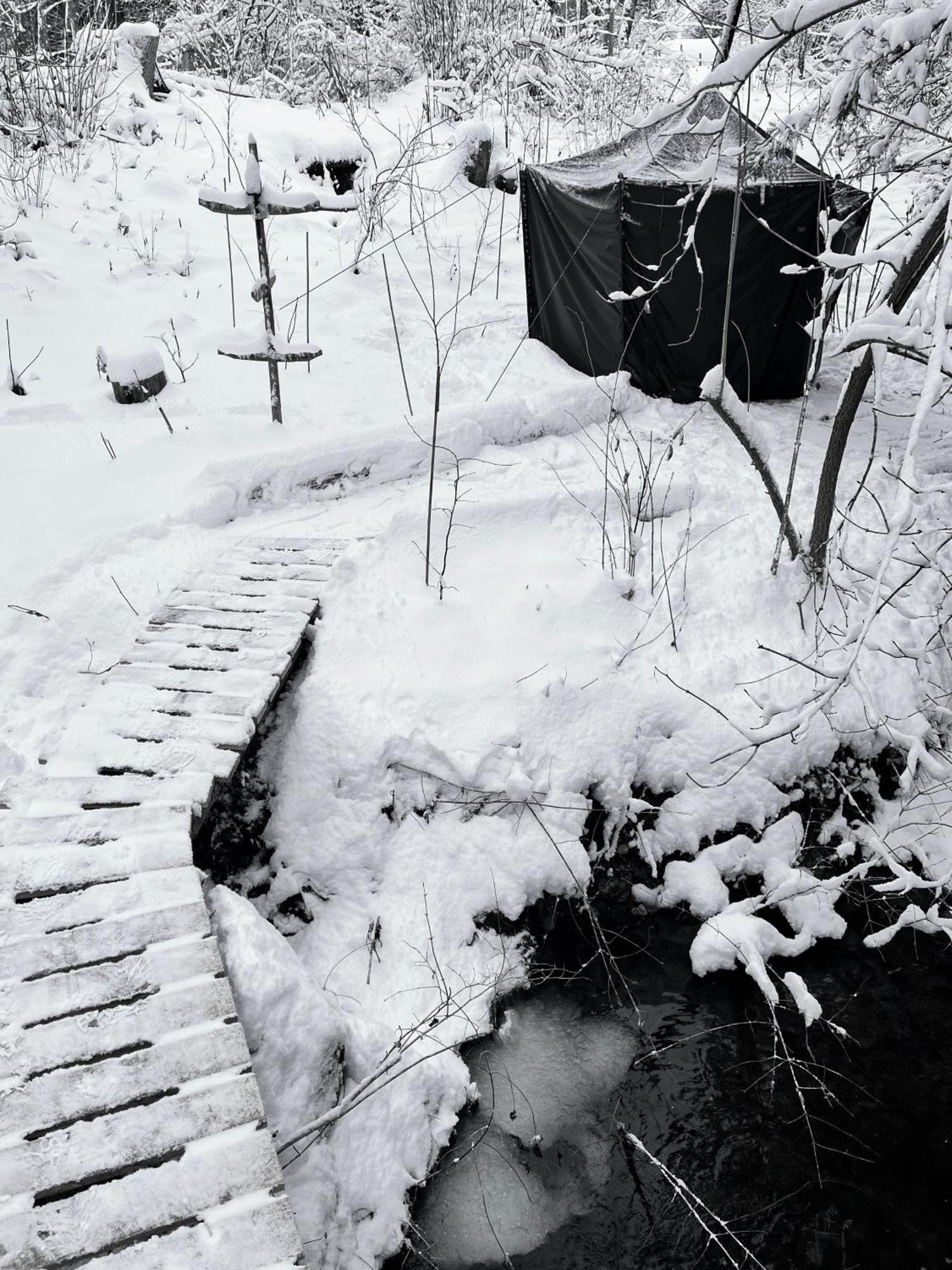 Hotel Wald Ist Zukunft à Bernbeuren Extérieur photo