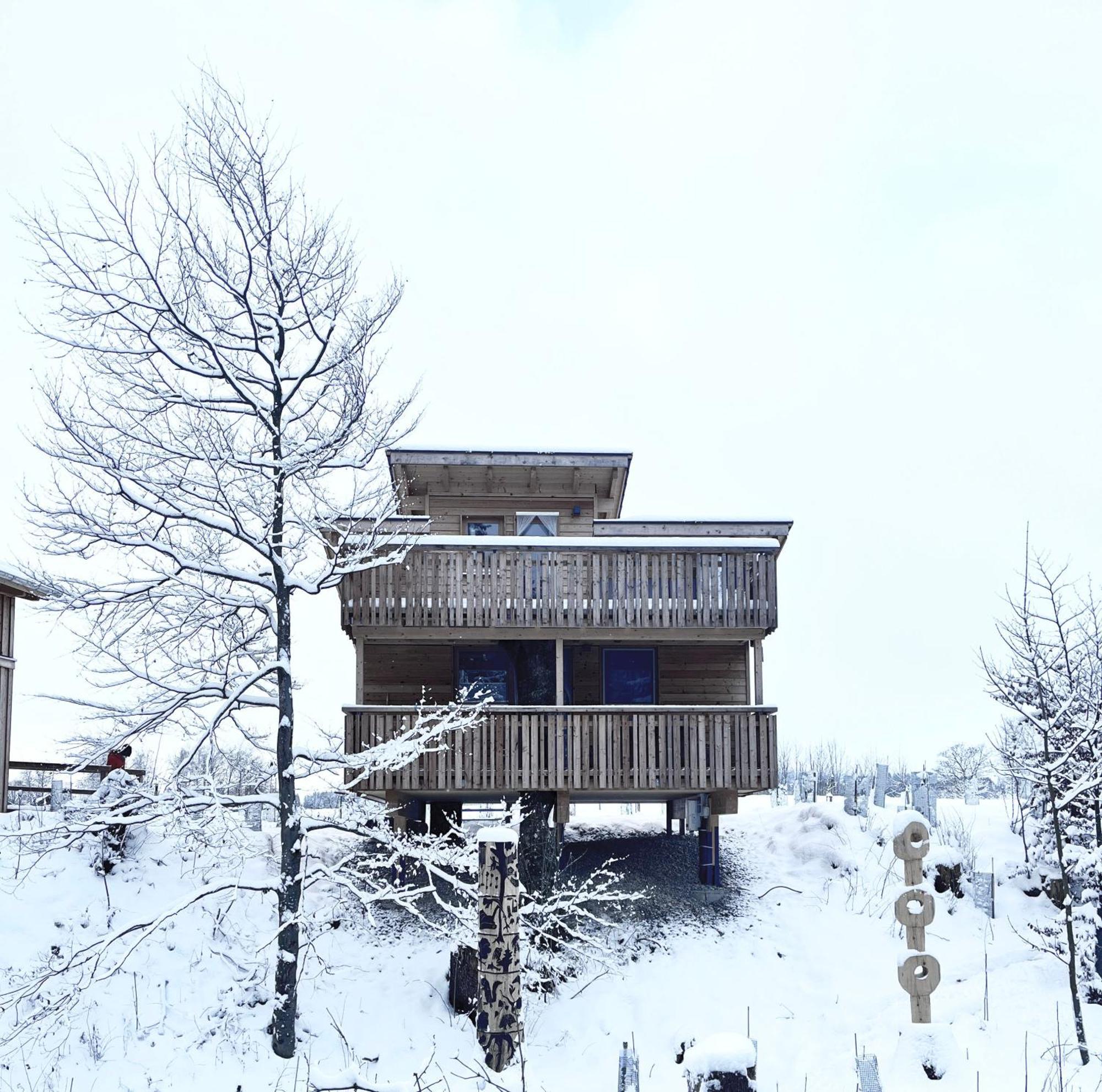 Hotel Wald Ist Zukunft à Bernbeuren Extérieur photo